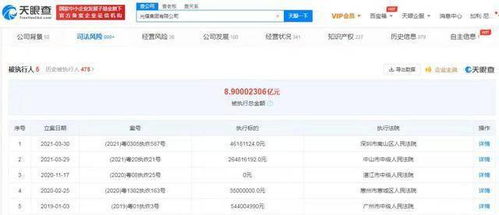 光耀集團破產風波 計算機軟件開發(fā)業(yè)務的重挫與反思